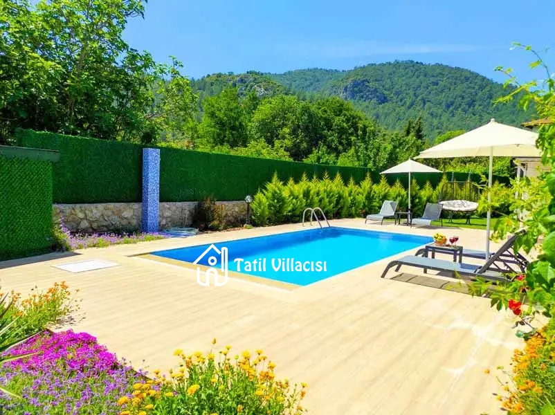 Villa Limon Kayaköy