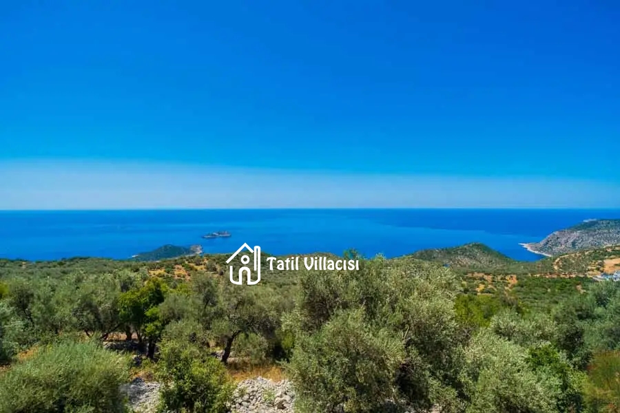 Villa Zeynep View